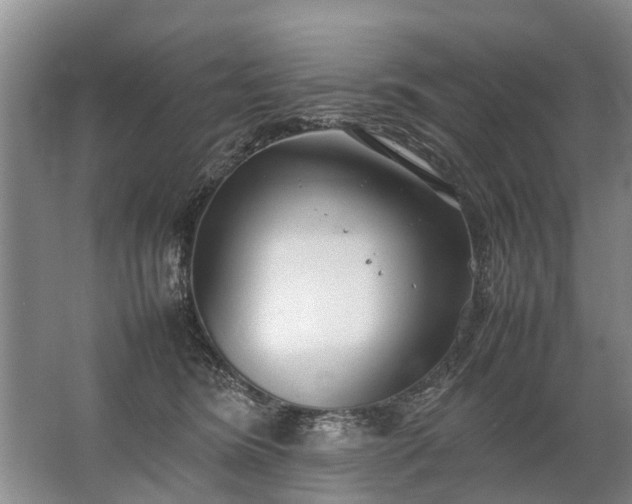 X0000067520420200604150205