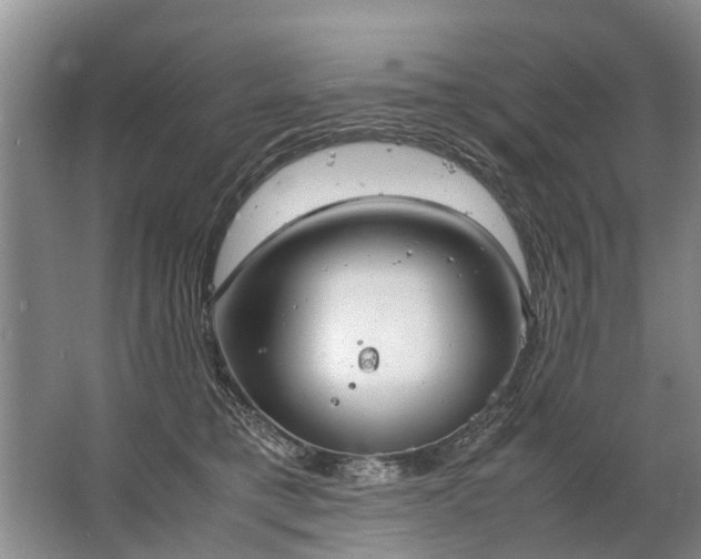 X0000067520421200604150205