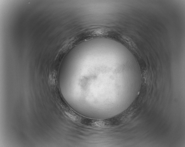 X0000067520423200604150205