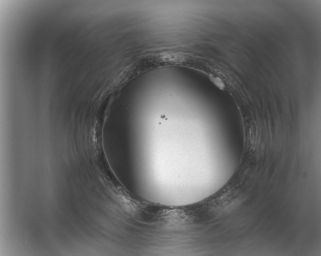 X0000067520424200604150205