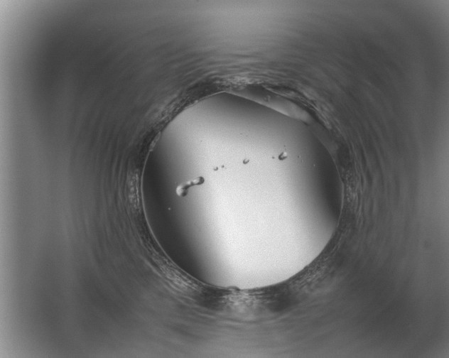 X0000067520425200604150205