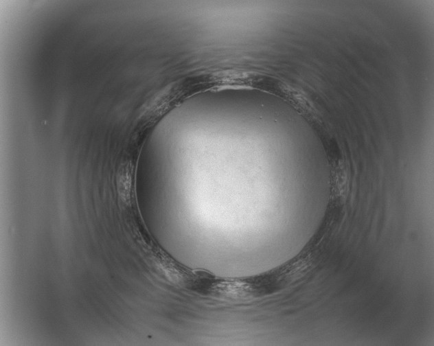 X0000067520427200604150205