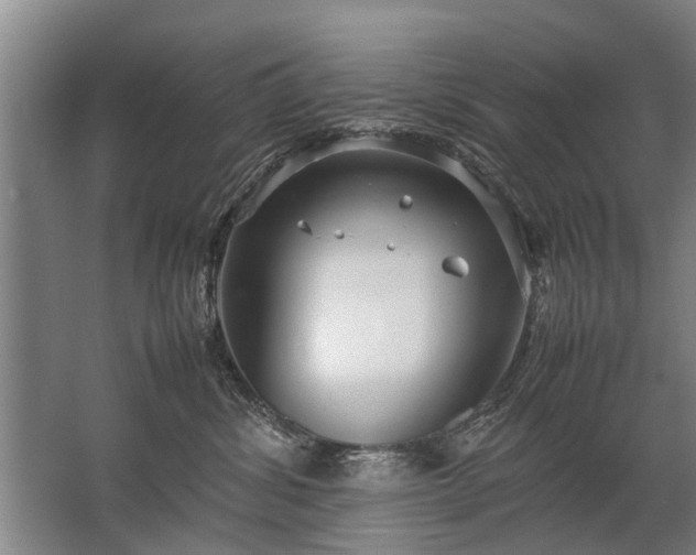 X0000067520428200604150204