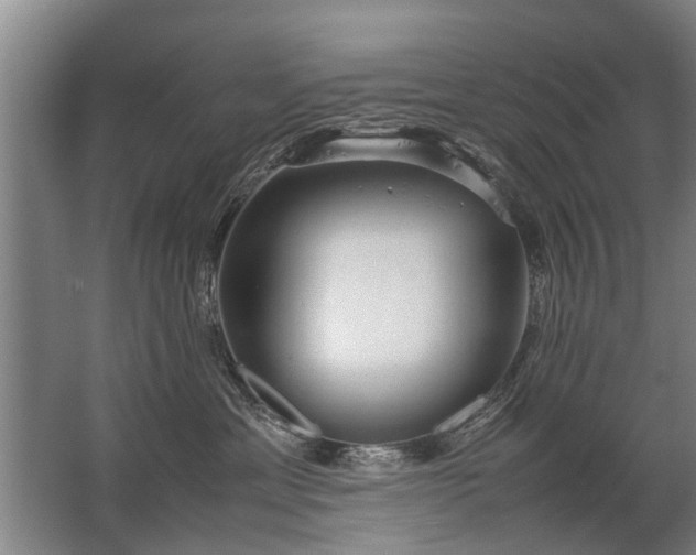 X0000067520429200604150204