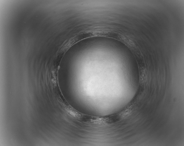 X0000067520430200604150204