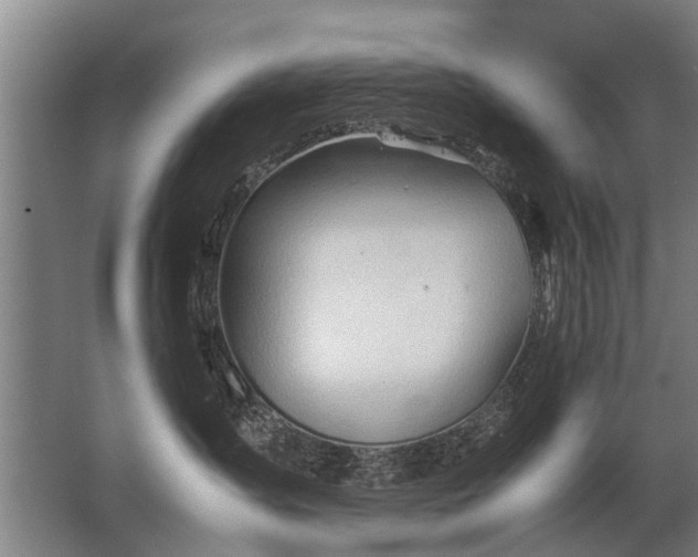 X0000067520431200604150204