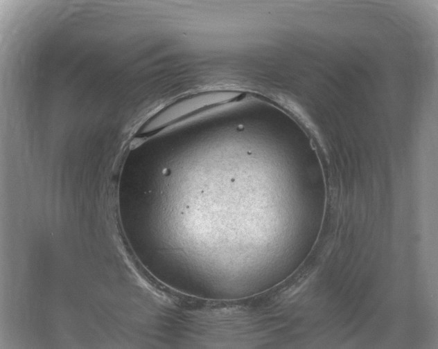 X0000067520433200604150204