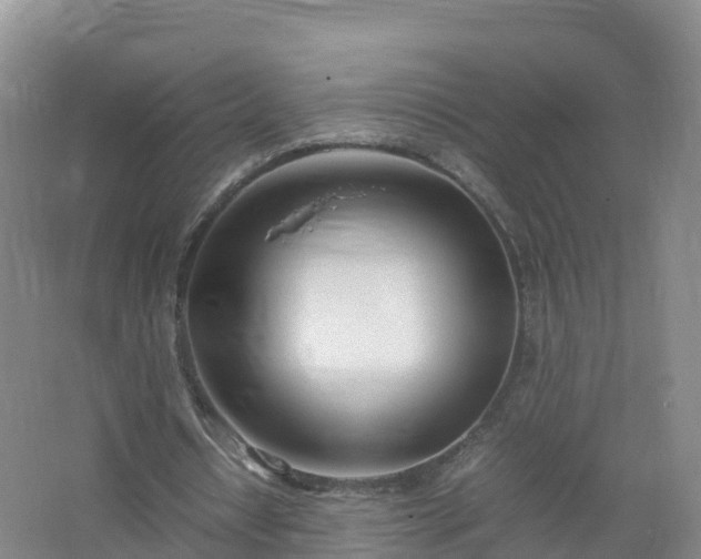 X0000067520434200604150204