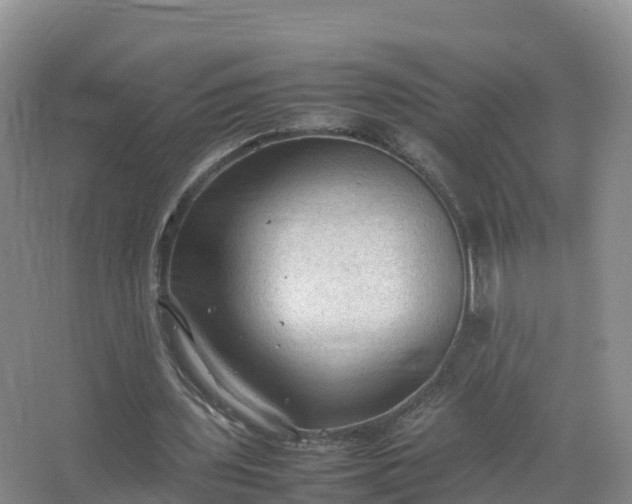 X0000067520435200604150204