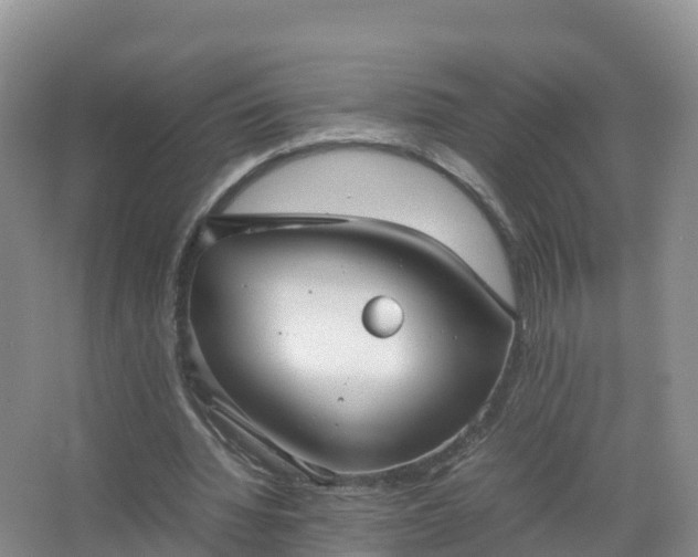 X0000067520436200604150204