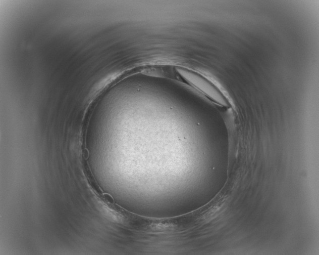 X0000067520437200604150204