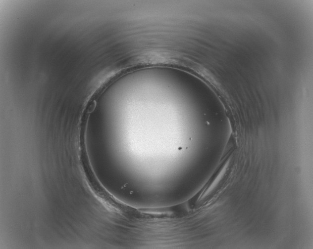 X0000067520438200604150204