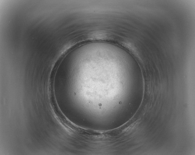 X0000067520439200604150204