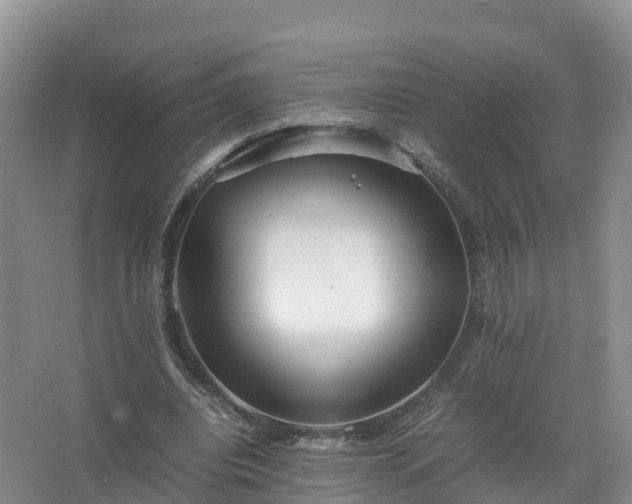 X0000067520440200604150204