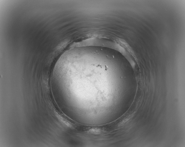 X0000067520441200604150204