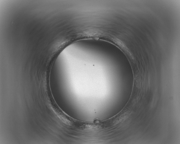 X0000067520442200604150204