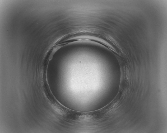 X0000067520444200604150204