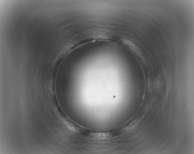 X0000067520449200604150204