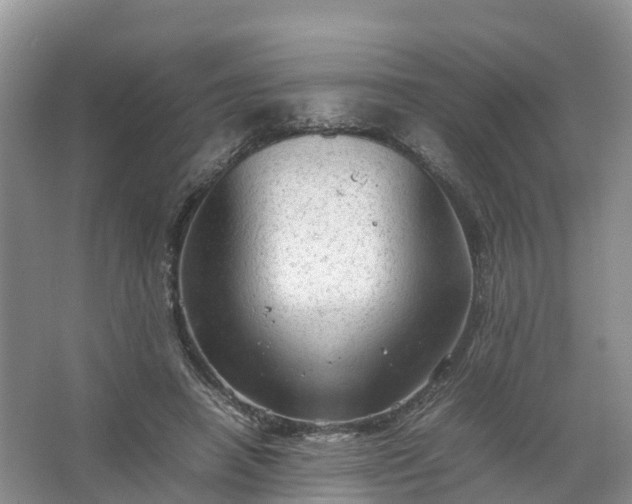 X0000067520450200604150204