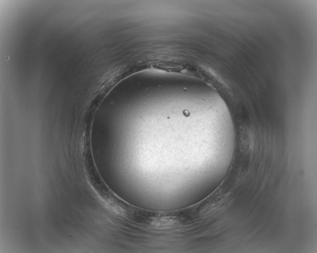 X0000067520451200604150204