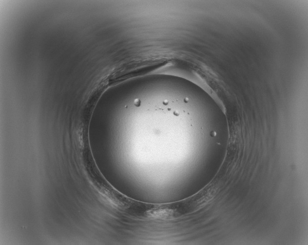 X0000067520452200604150204