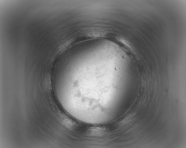 X0000067520453200604150204