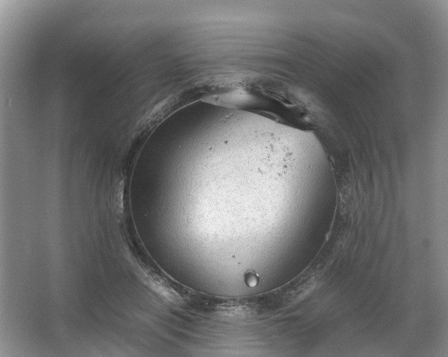 X0000067520454200604150204