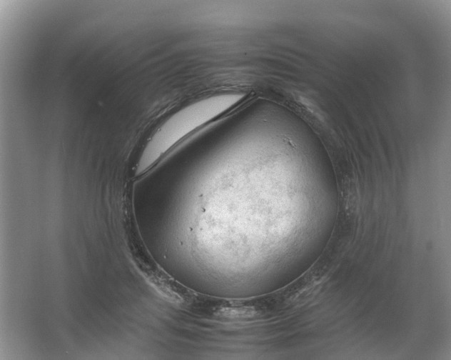 X0000067520455200604150204