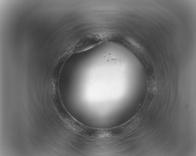 X0000067520456200604150204