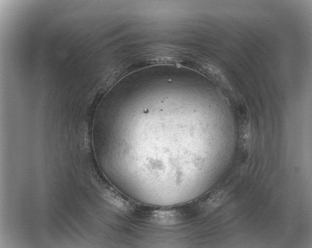 X0000067520457200604150204