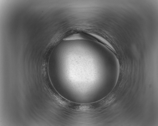 X0000067520462200604150204