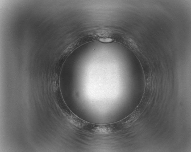 X0000067520464200604150204