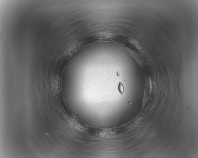 X0000067520468200604150204