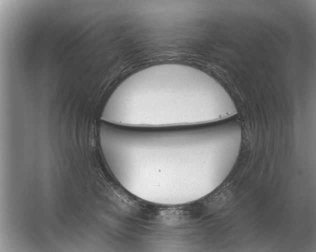 X0000067520470200604150204