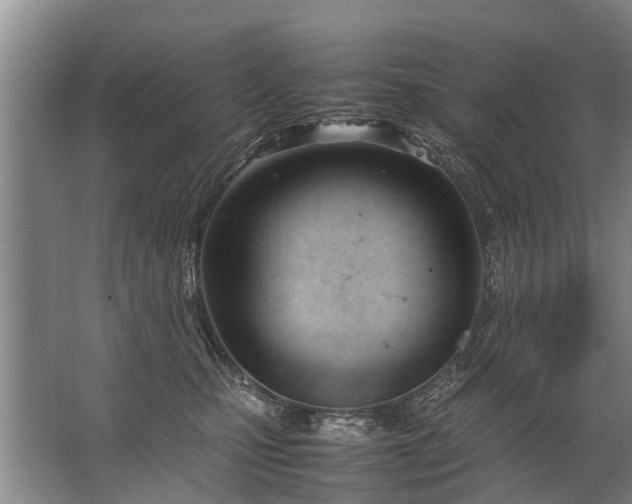 X0000067520471200604150204