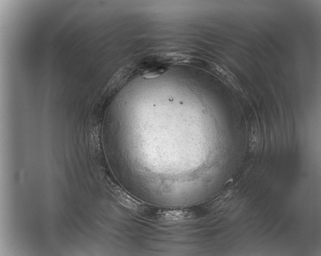 X0000067520473200604150204