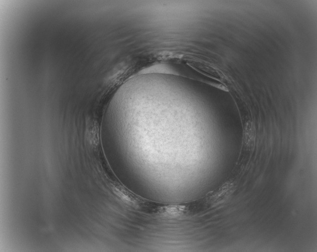 X0000067520474200604150204