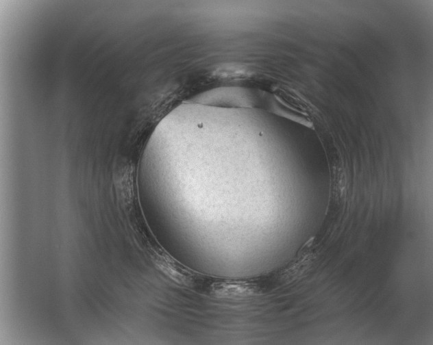 X0000067520475200604150204