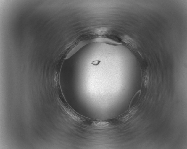 X0000067520476200604150204