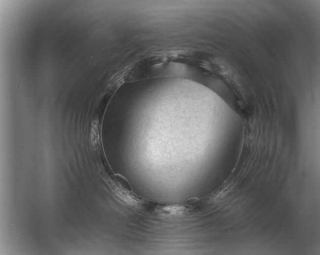 X0000067520478200604150204