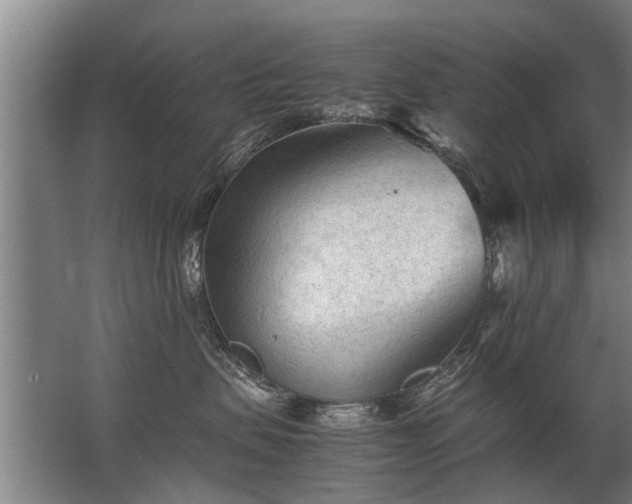 X0000067520479200604150204