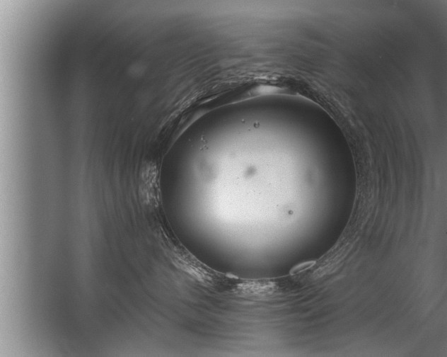 X0000067520480200604150204