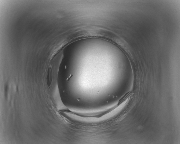 X0000067520481200604150204