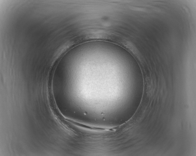 X0000067520482200604150204