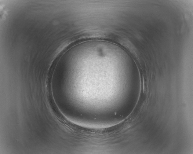 X0000067520483200604150204