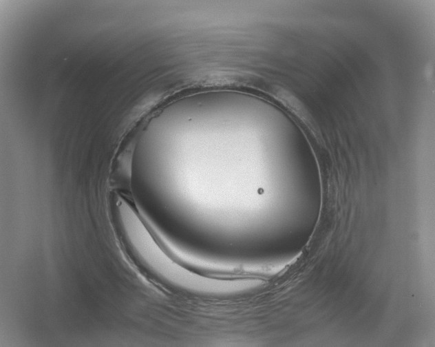 X0000067520485200604150204