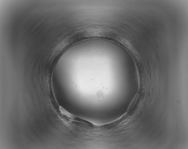 X0000067520489200604150203