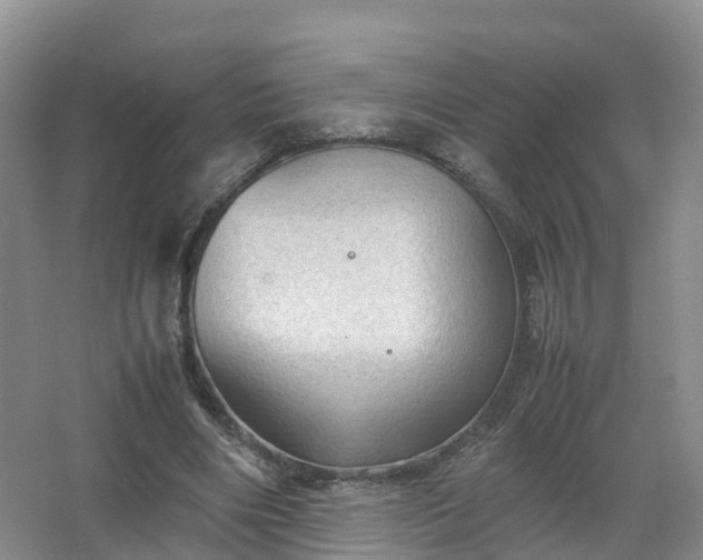 X0000067520490200604150203