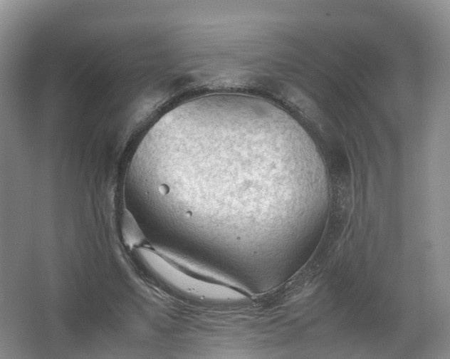 X0000067520491200604150203