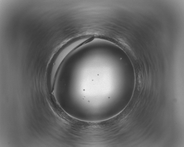 X0000067520492200604150203